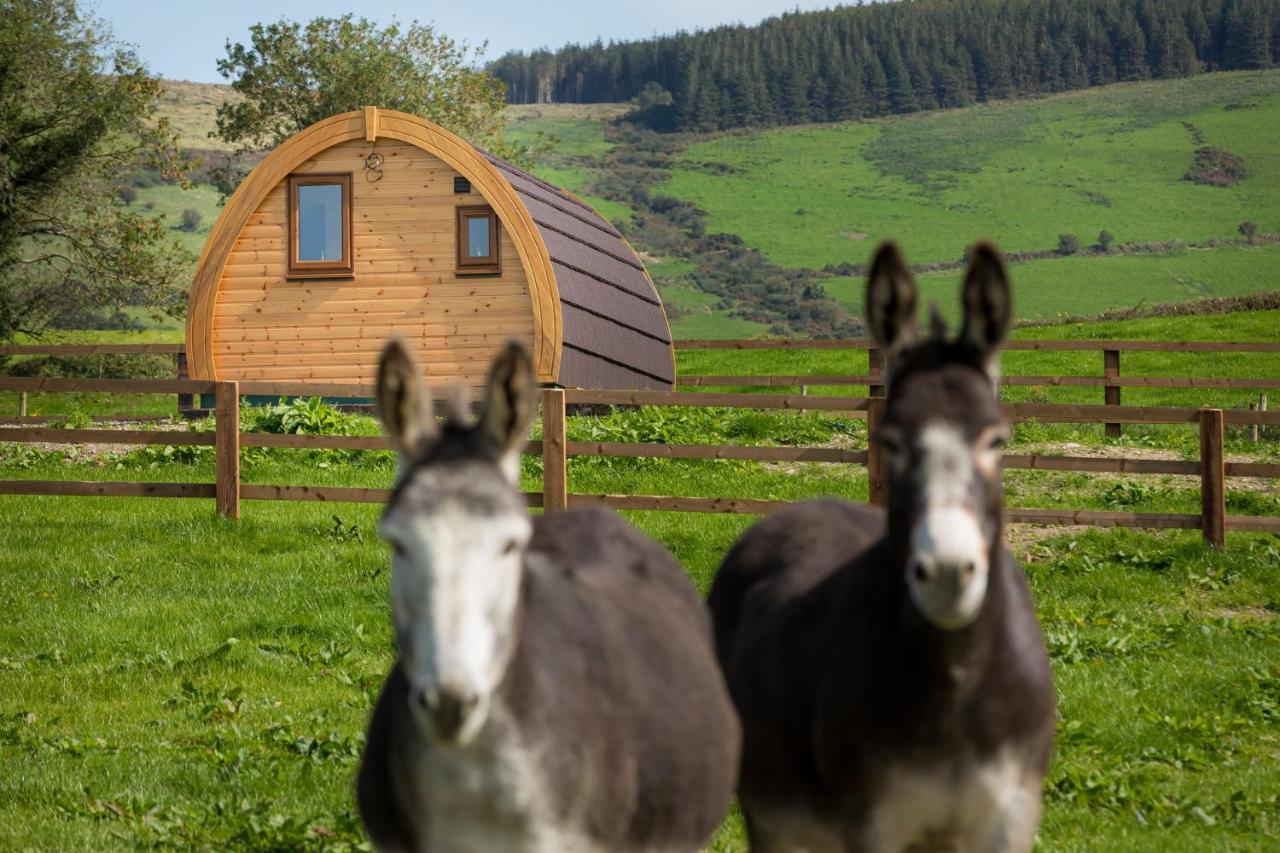 Luxury Two-Bed Glamping Pod In County Clare 2 Kilbane Exterior foto
