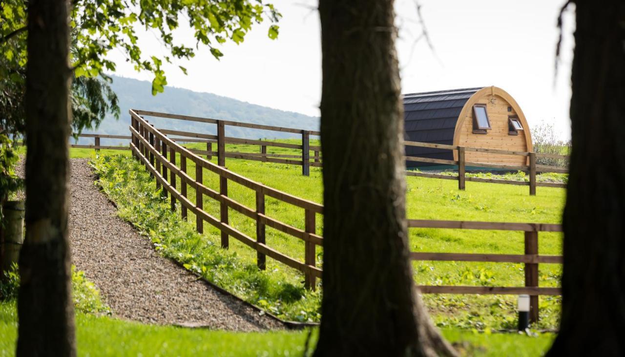 Luxury Two-Bed Glamping Pod In County Clare 2 Kilbane Exterior foto