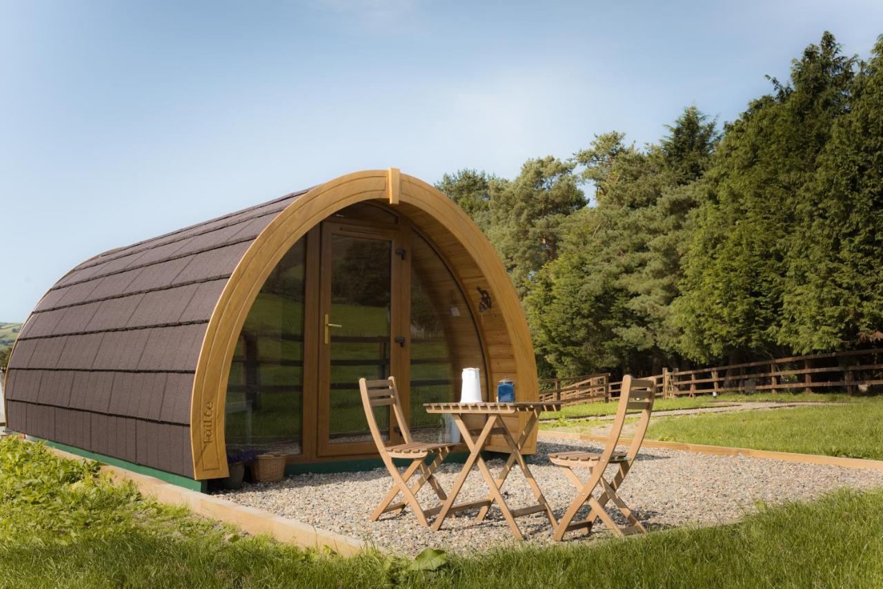Luxury Two-Bed Glamping Pod In County Clare 2 Kilbane Exterior foto